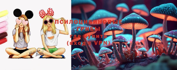 дживик Краснослободск