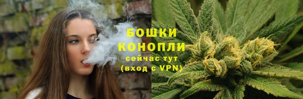 PSILOCYBIN Красноперекопск