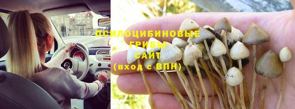 дурь Краснотурьинск