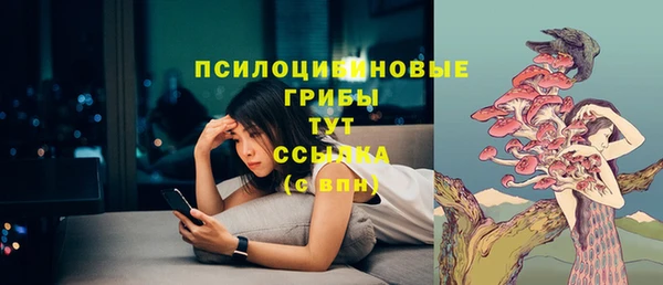 дурь Краснотурьинск