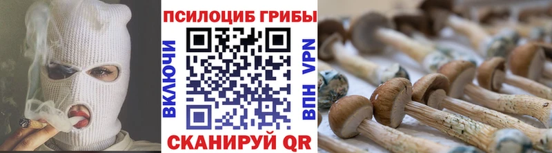 Купить  Лысково  Галлюциногенные грибы Magic Shrooms 